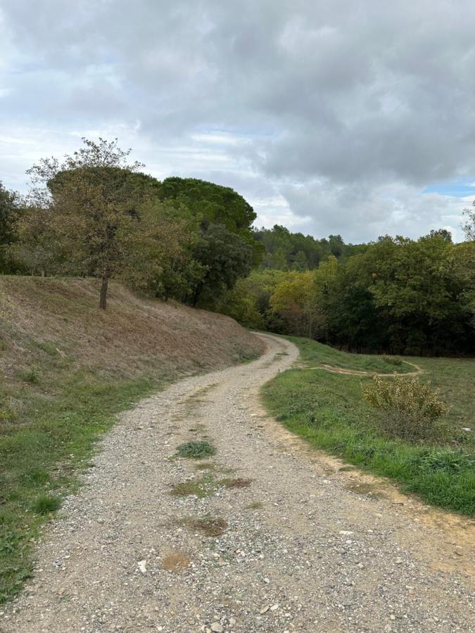 Charmant Studio Proche Lac Et Foret Carcassonne Luaran gambar